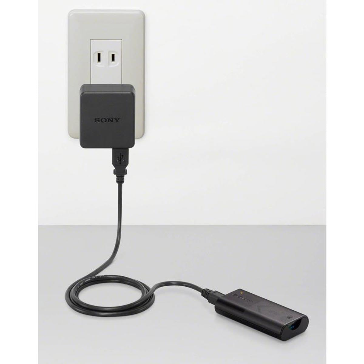 Sony ACCTRDCX Travel DC Charger Kit (Black)