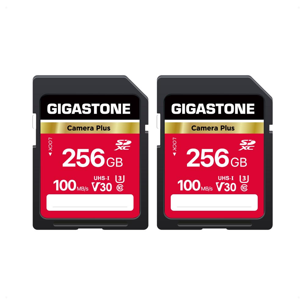 GIGASTONE SD Card Camera Plus Series Group 2