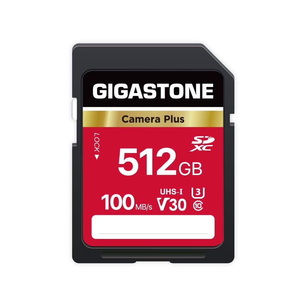 GIGASTONE SD Card Camera Plus Series Group 2